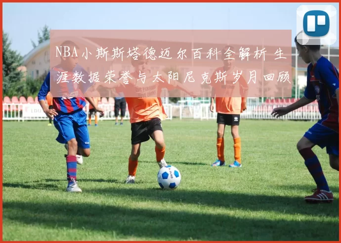 NBA小斯斯塔德迈尔百科全解析 生涯数据荣誉与太阳尼克斯岁月回顾