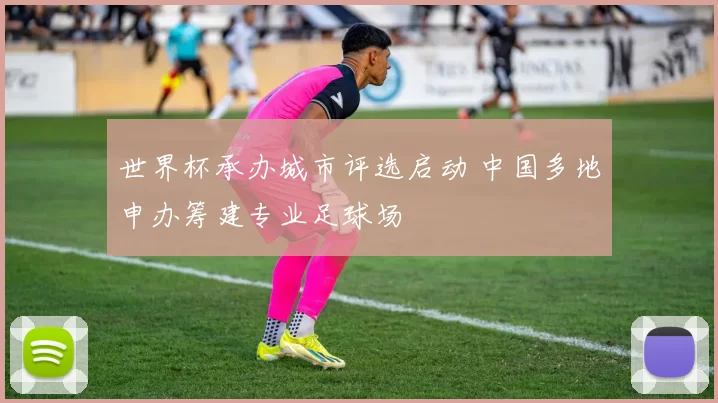 世界杯承办城市评选启动 中国多地申办筹建专业足球场