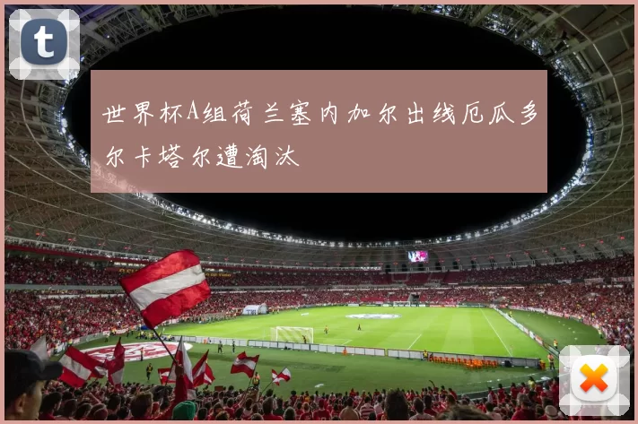 世界杯A组荷兰塞内加尔出线厄瓜多尔卡塔尔遭淘汰