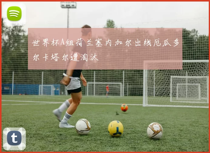 世界杯A组荷兰塞内加尔出线厄瓜多尔卡塔尔遭淘汰